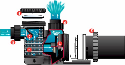 schéma pompe filtration