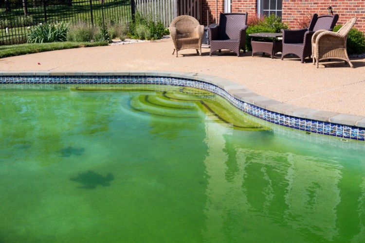 Comment rattraper une eau verte de piscine ?