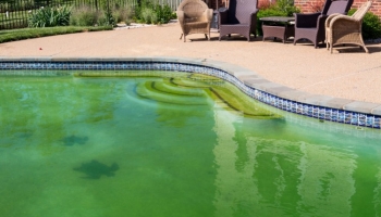 Comment rattraper une eau verte de piscine ?