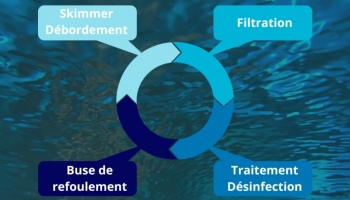 Le cycle de l'eau dans une piscine : comment ça marche ?